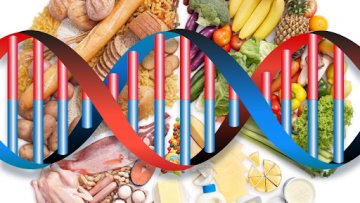 Nutrizione E Genetica Test DNA