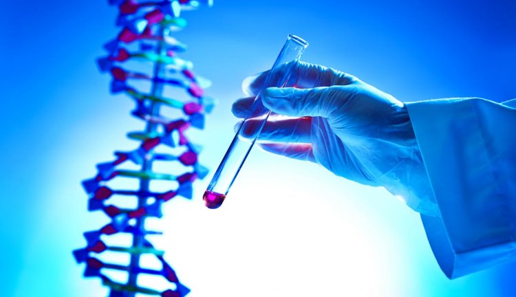Nutrizione E Genetica Test DNA