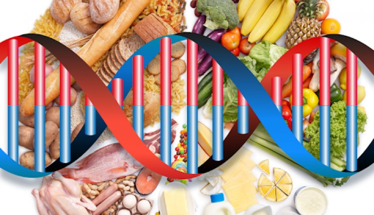 Nutrizione E Genetica Test DNA